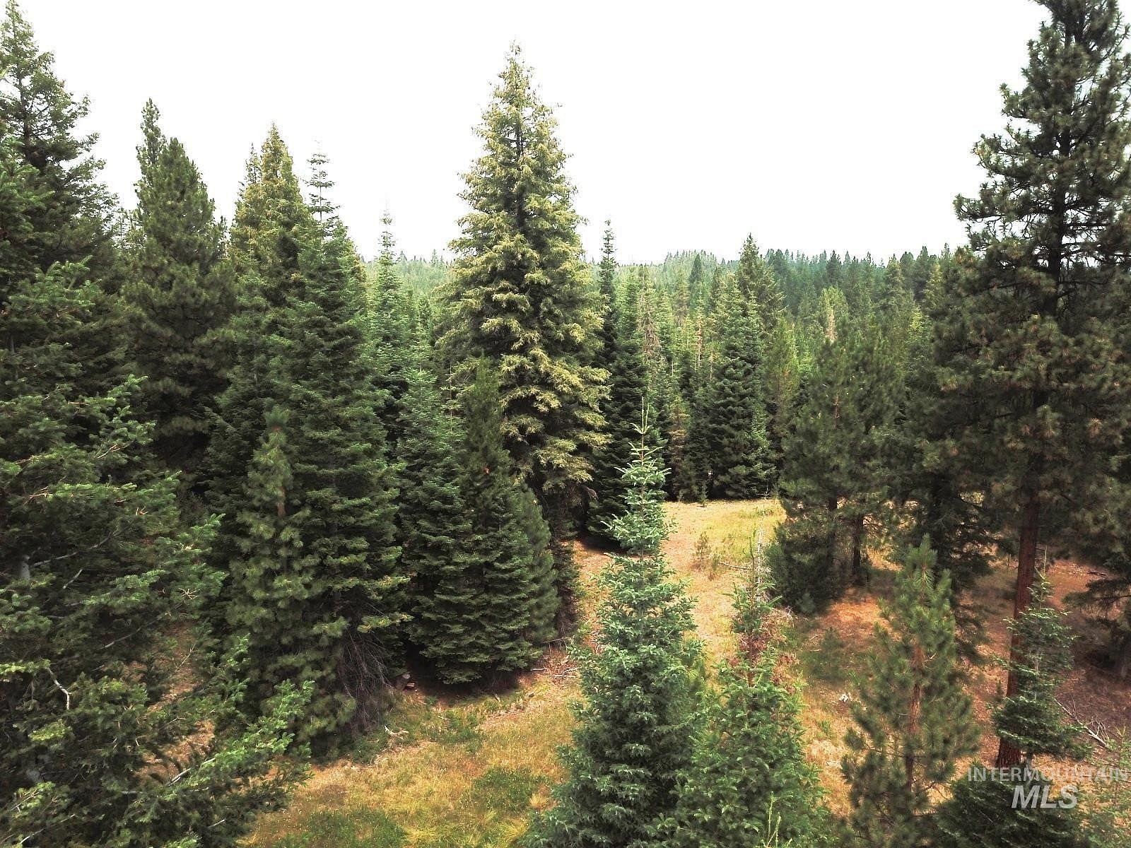 2.6 Acres of Land Cascade, Idaho, ID
