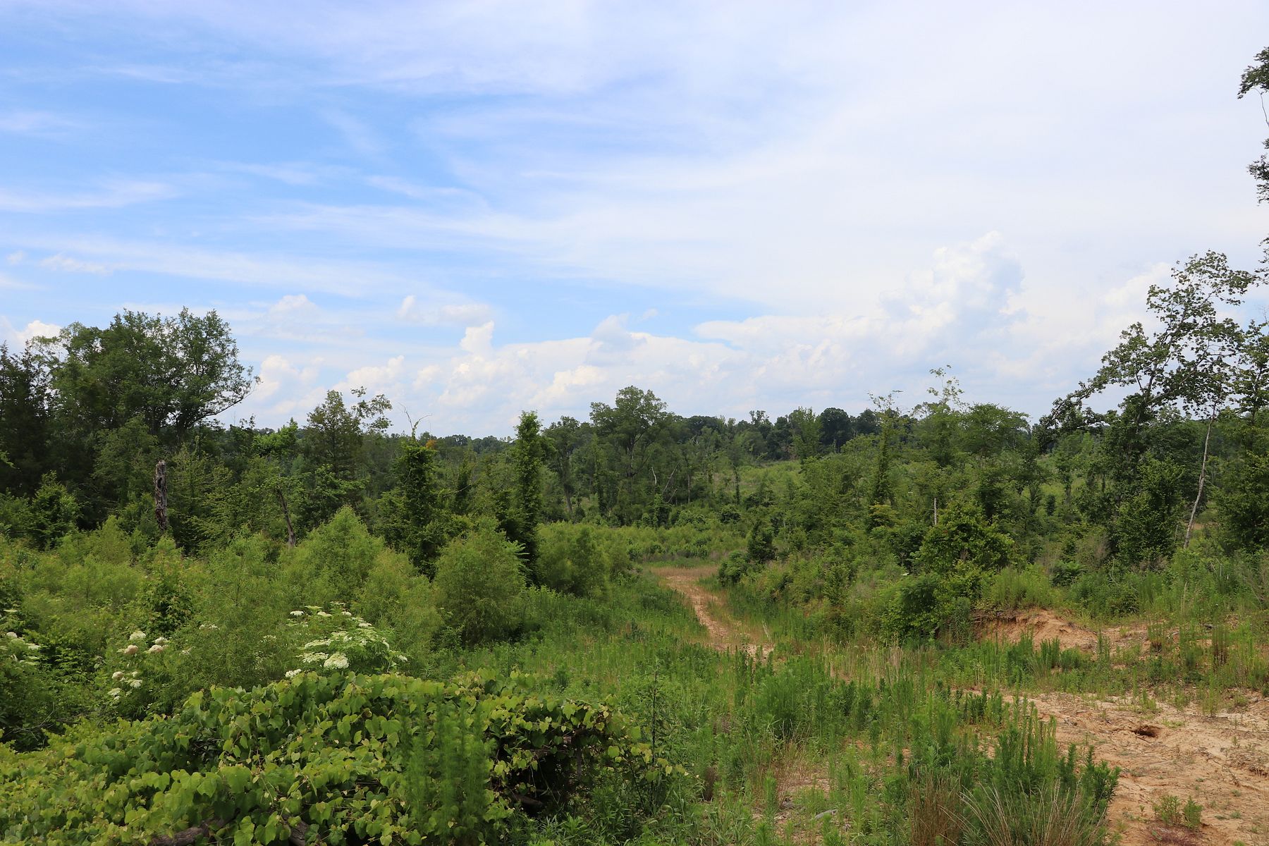 250 Acres of Recreational Land Lexington, Mississippi, MS