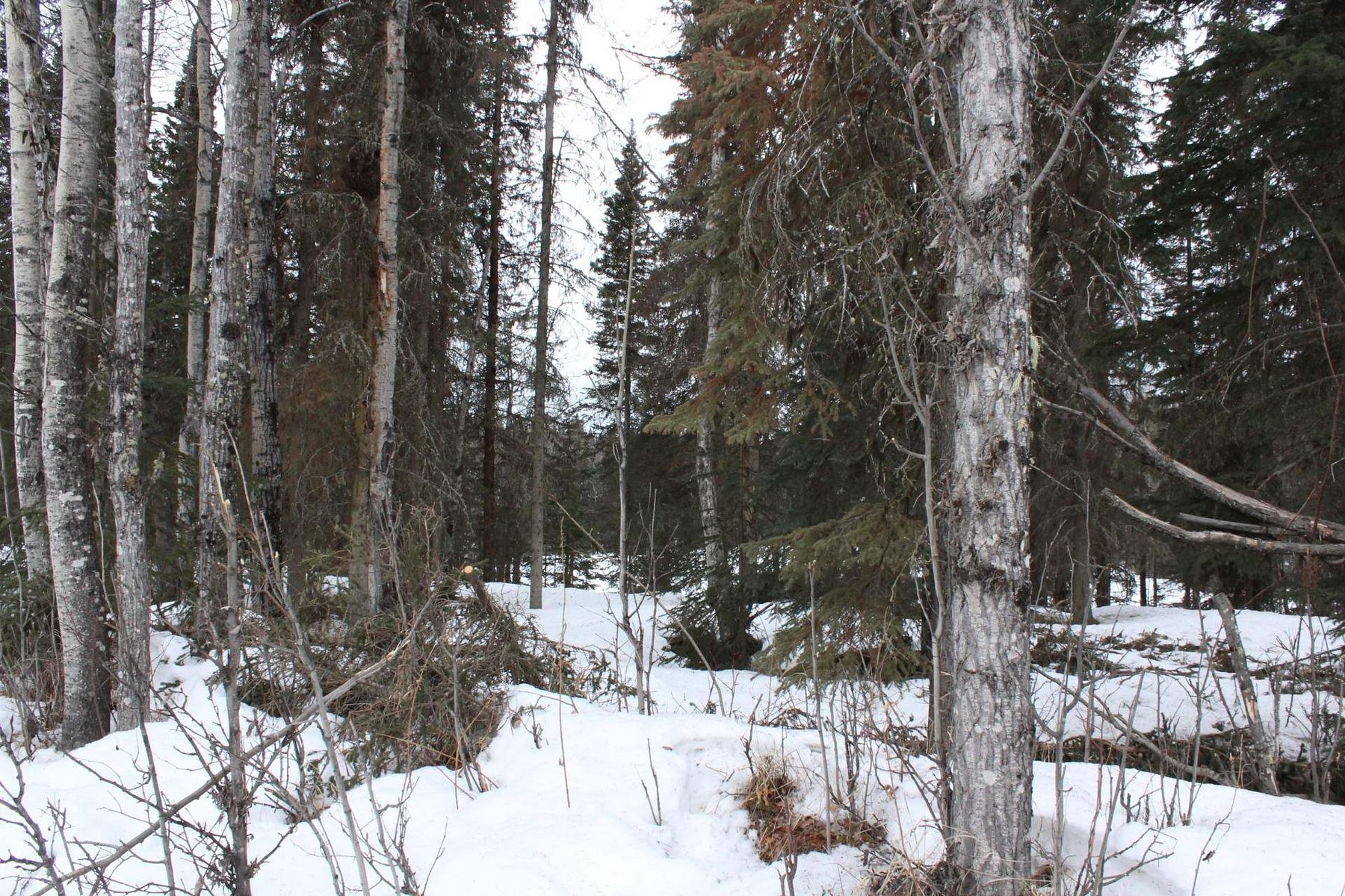 9.2 Acres of Mixed-Use Land Kasilof, Alaska, AK
