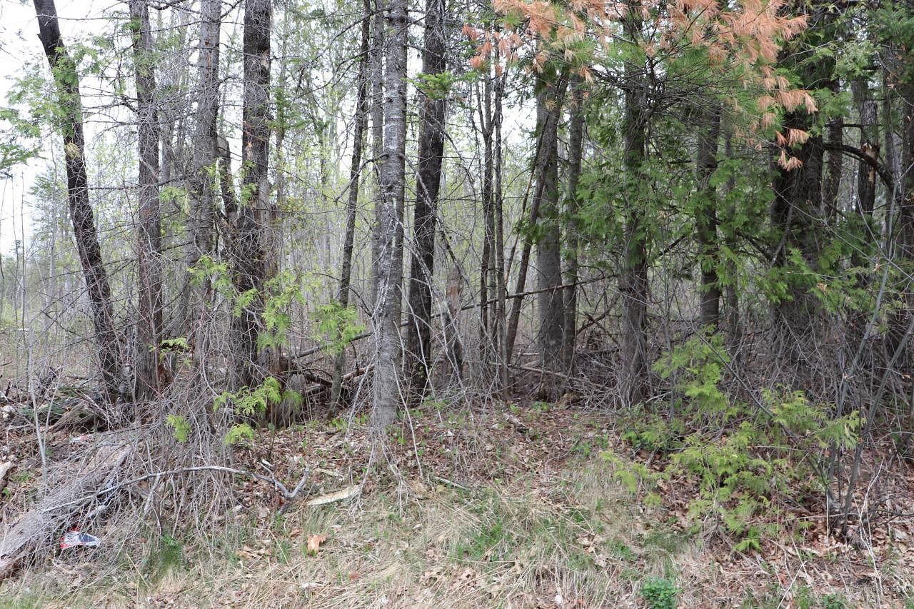 3.5 Acres of Residential Land Hampden, Maine, ME