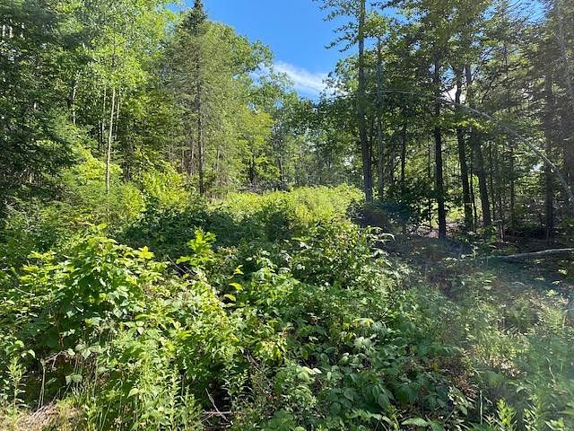 1.3 Acres of Residential Land Hermon, Maine, ME