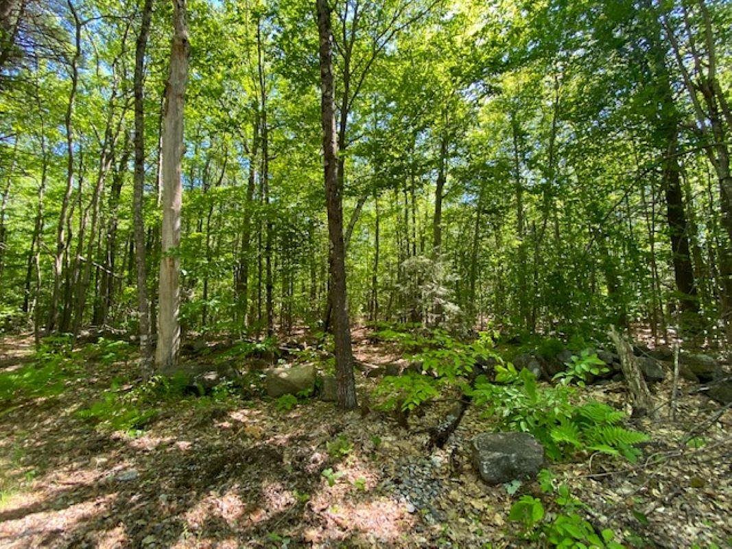 10 Acres of Residential Land Wakefield, New Hampshire, NH