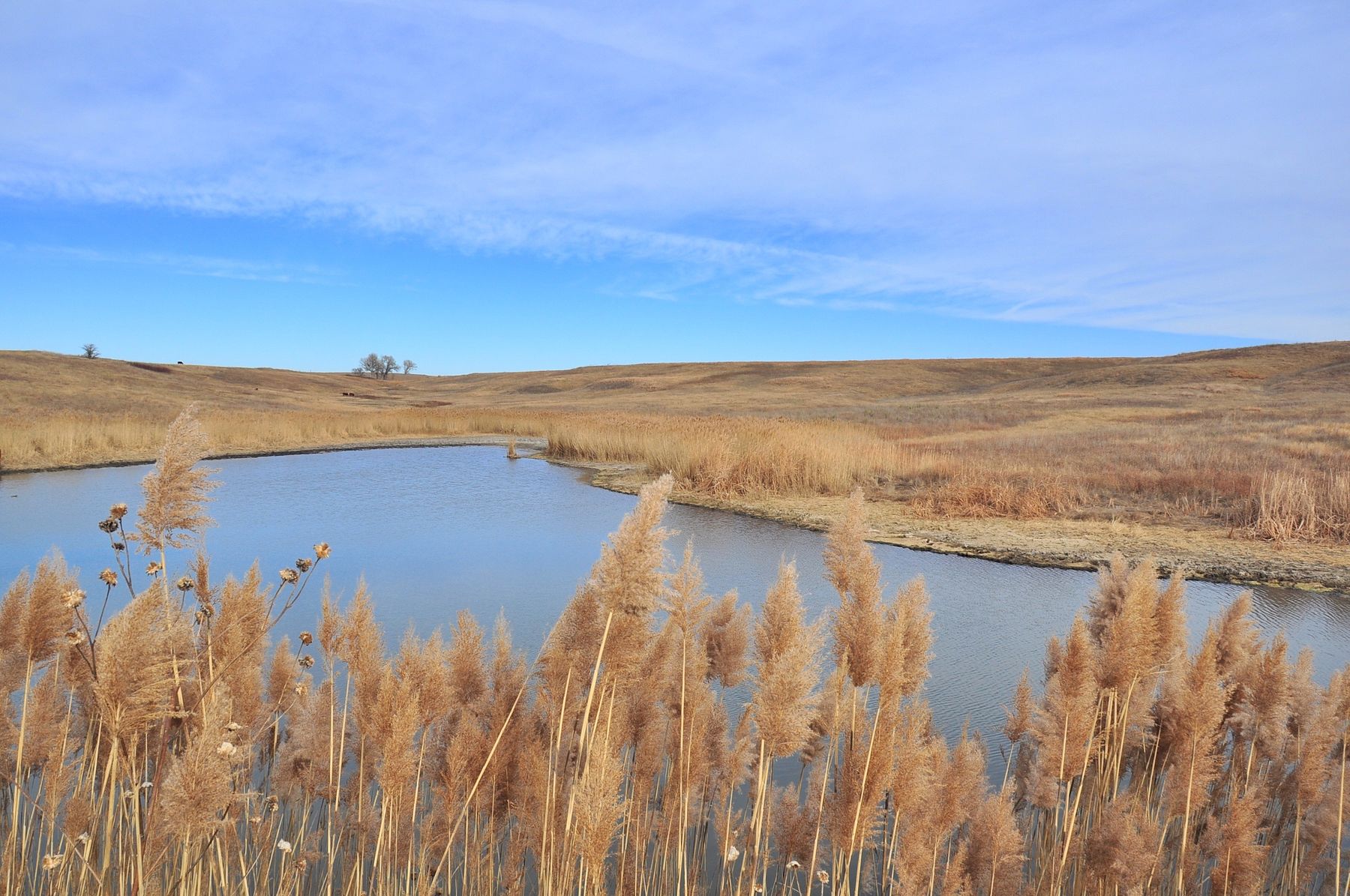 160 Acres of Recreational Land & Farm Paradise, Kansas, KS