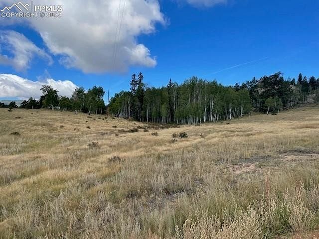 1.2 Acres of Residential Land Florissant, Colorado, CO
