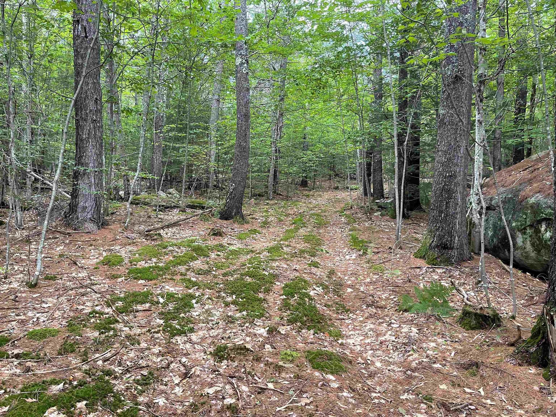 14.5 Acres of Land Madison, New Hampshire, NH