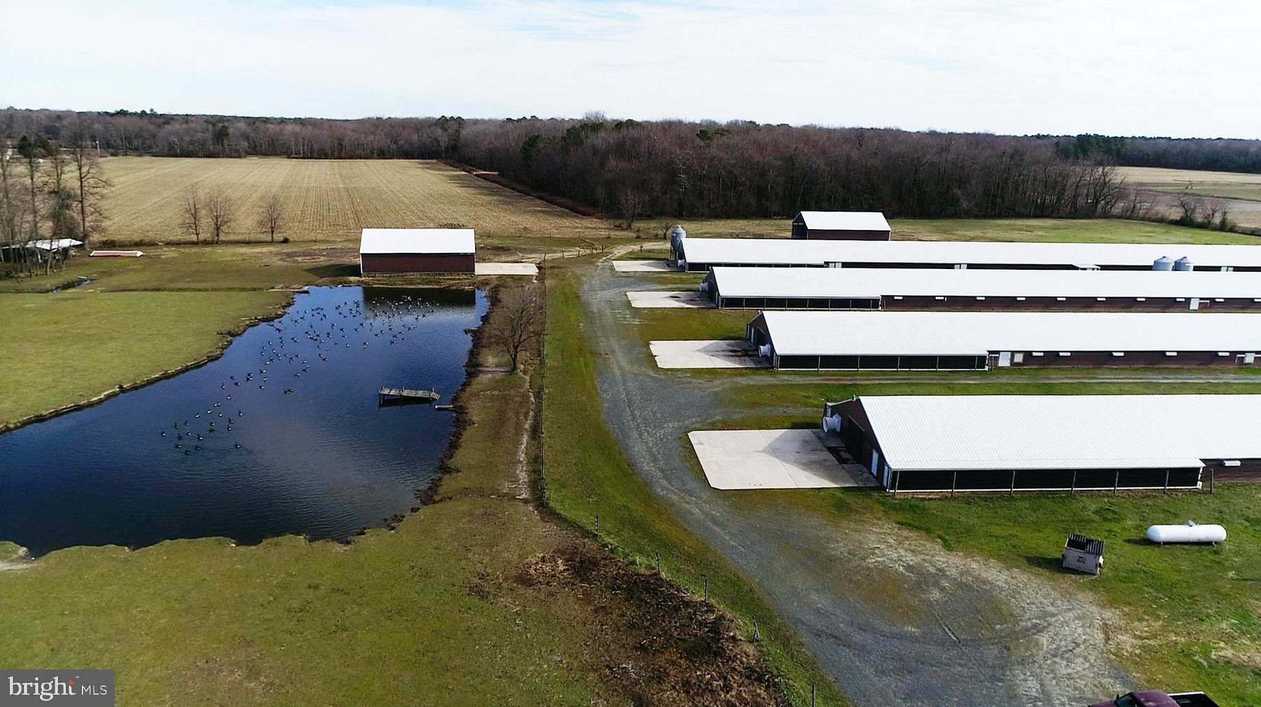 34.5 Acres of Agricultural Land & Home Greenwood, Delaware, DE