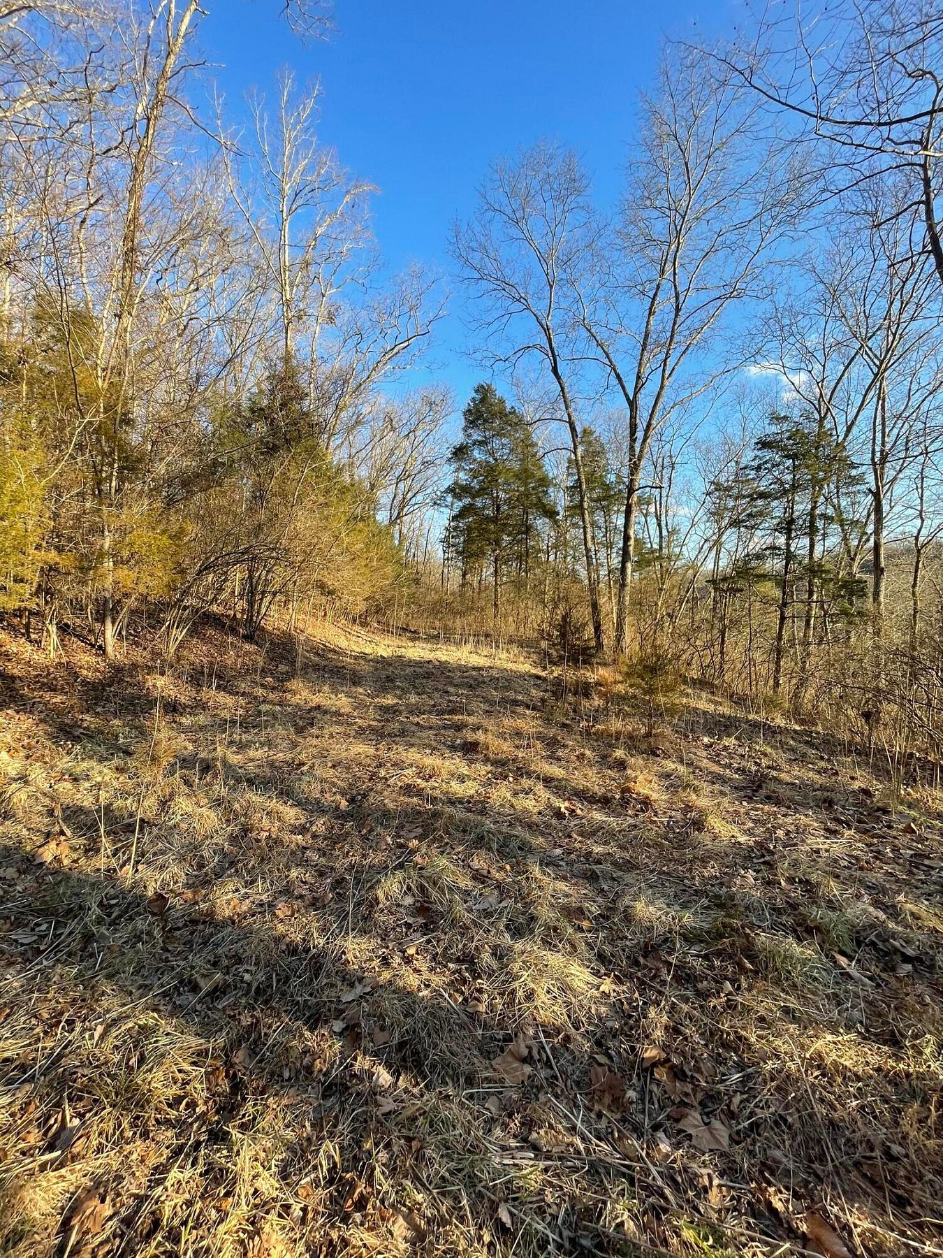 4.3 Acres of Residential Land Versailles, Kentucky, KY