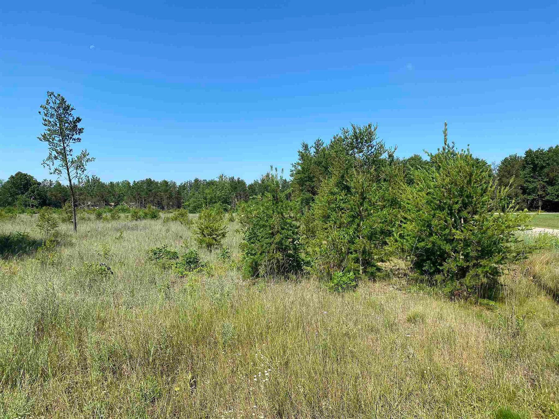17.5 Acres of Land Plover, Wisconsin, WI