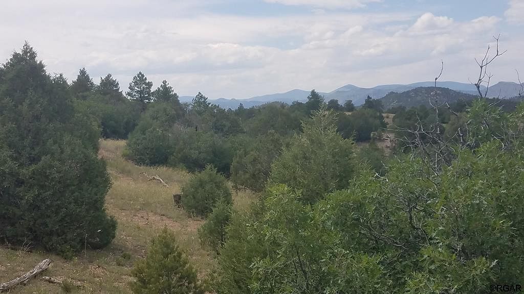 10.1 Acres of Recreational Land Cotopaxi, Colorado, CO