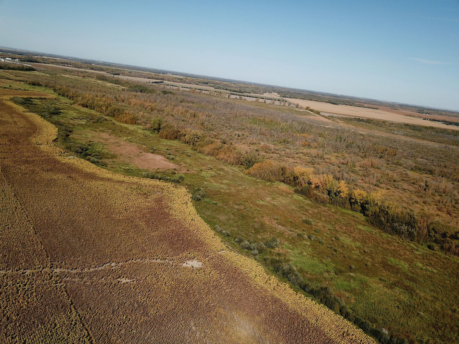 150 Acres of Recreational Land Walhalla, North Dakota, ND