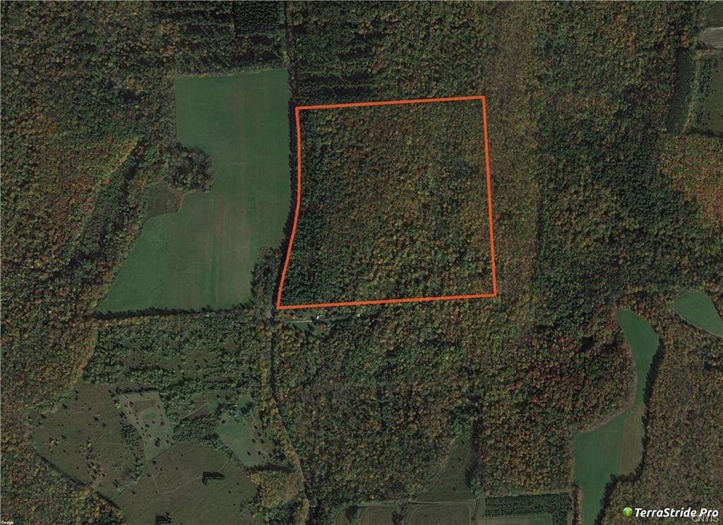 49 Acres of Recreational Land Georgetown, New York, NY