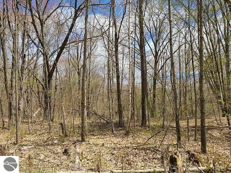 0.76 Acres of Residential Land Reed City, Michigan, MI