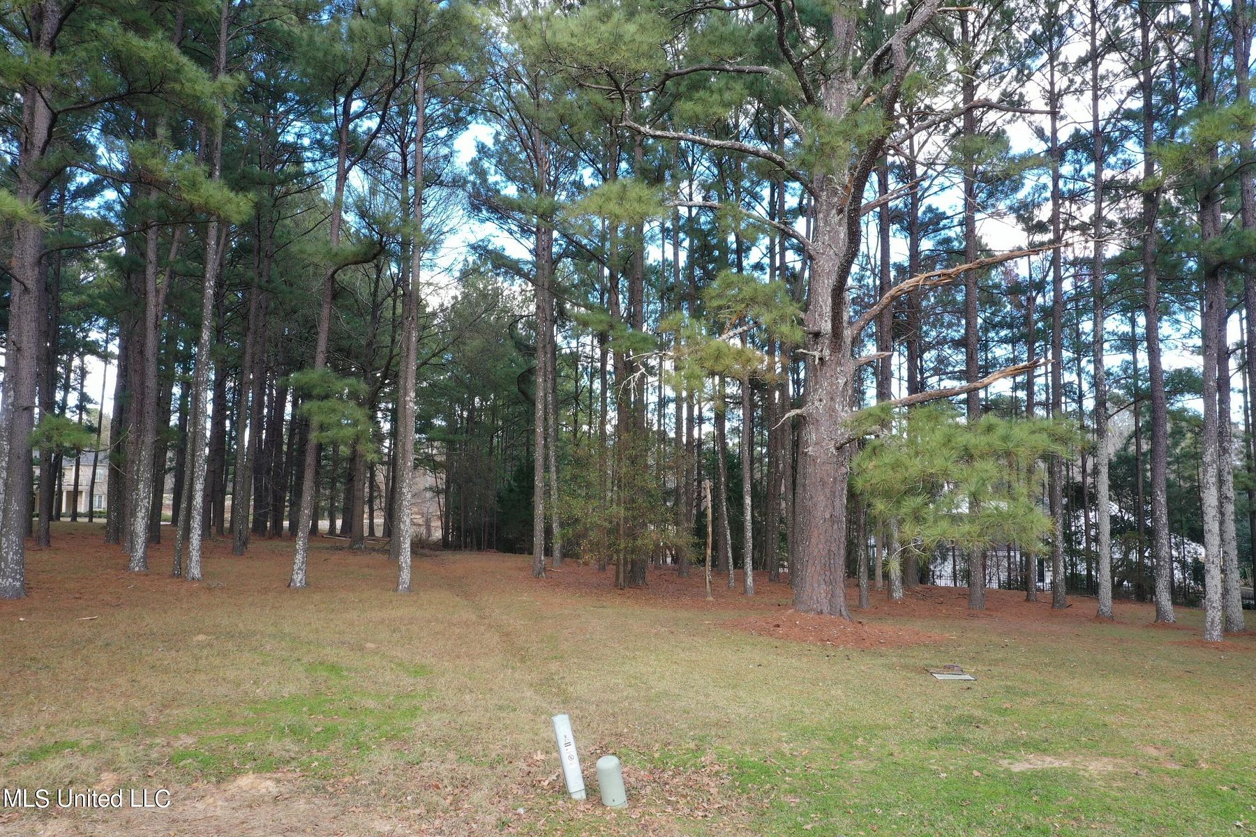 0.52 Acres of Residential Land Madison, Mississippi, MS