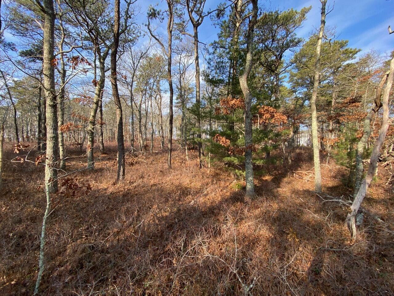 0.92 Acres of Residential Land Yarmouth Port, Massachusetts, MA