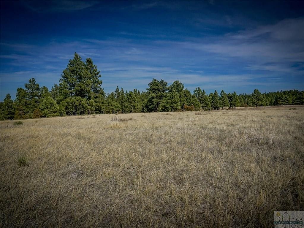14.2 Acres of Recreational Land Roundup, Montana, 