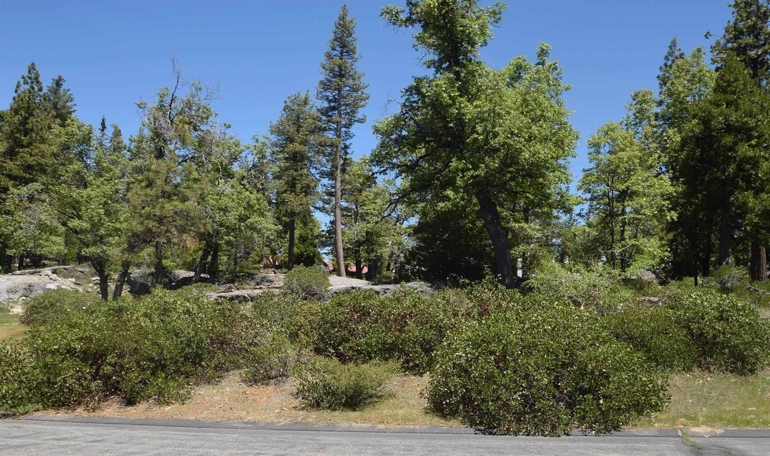 0.61 Acres of Residential Land Shaver Lake, California, CA