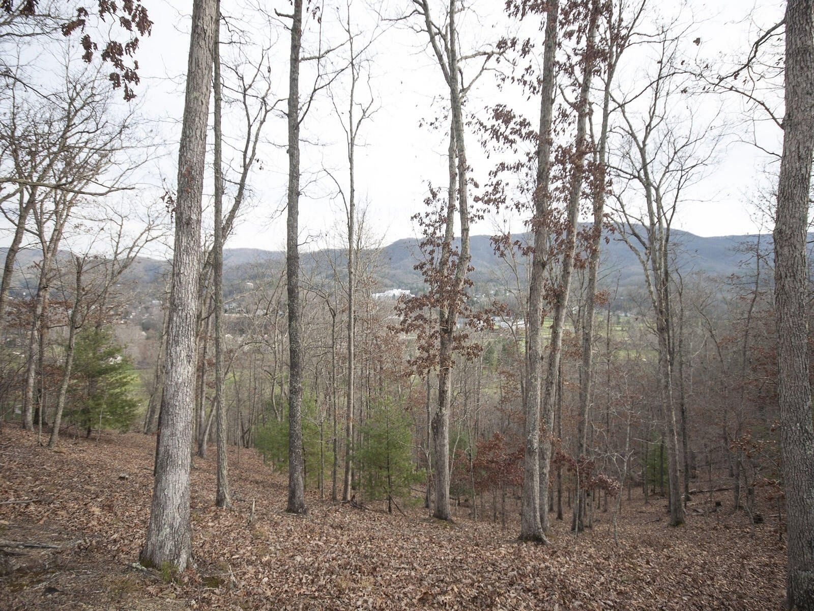 2.5 Acres of Residential Land White Sulphur Springs, West Virginia, WV