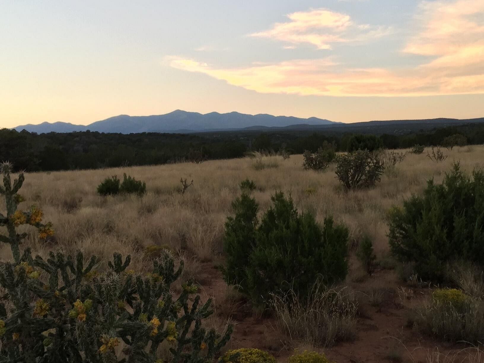 143 Acres of Land Mountainair, New Mexico, NM