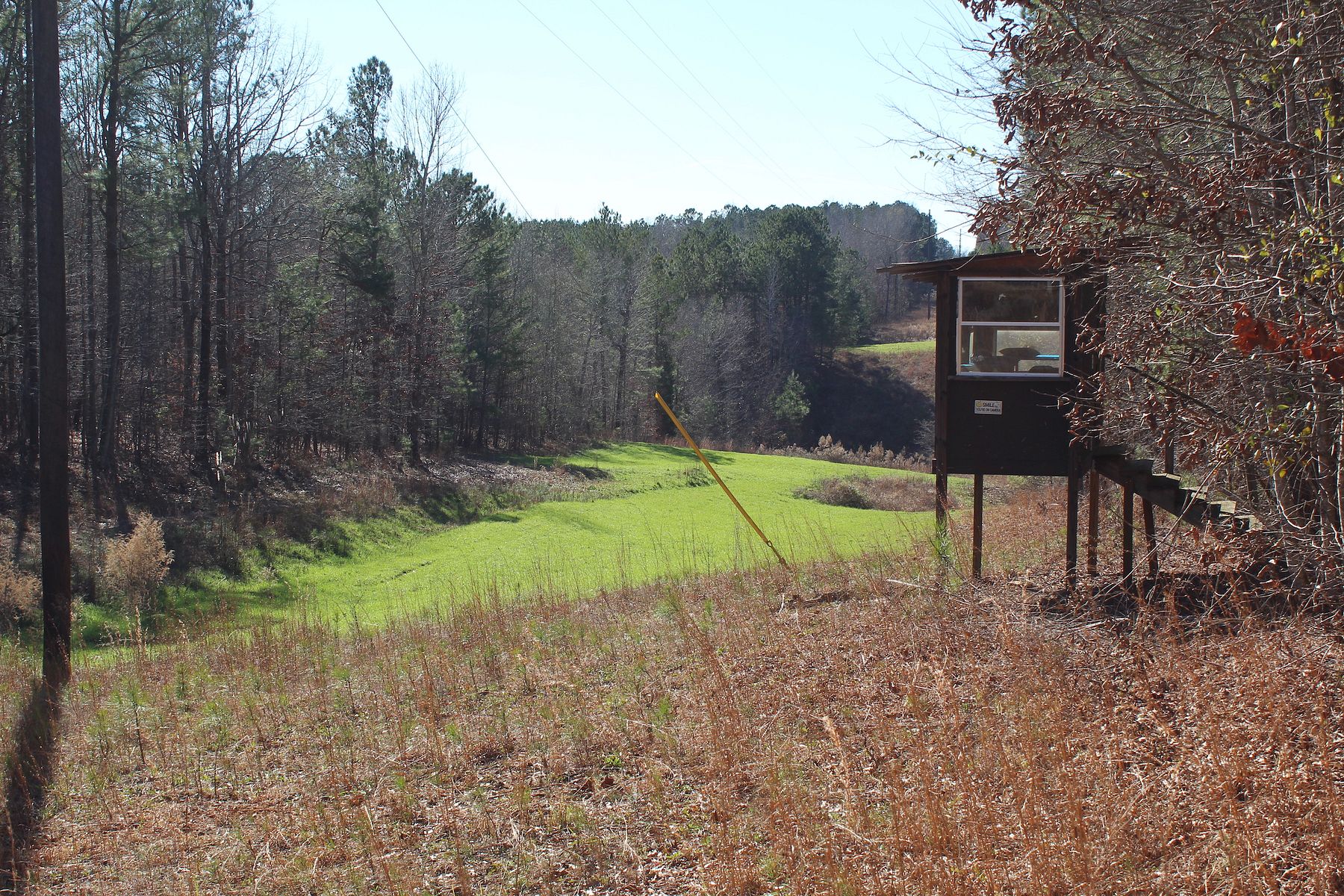 26.3 Acres of Recreational Land West Blocton, Alabama, AL