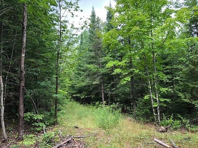 10.1 Acres of Land Garland, Maine, ME