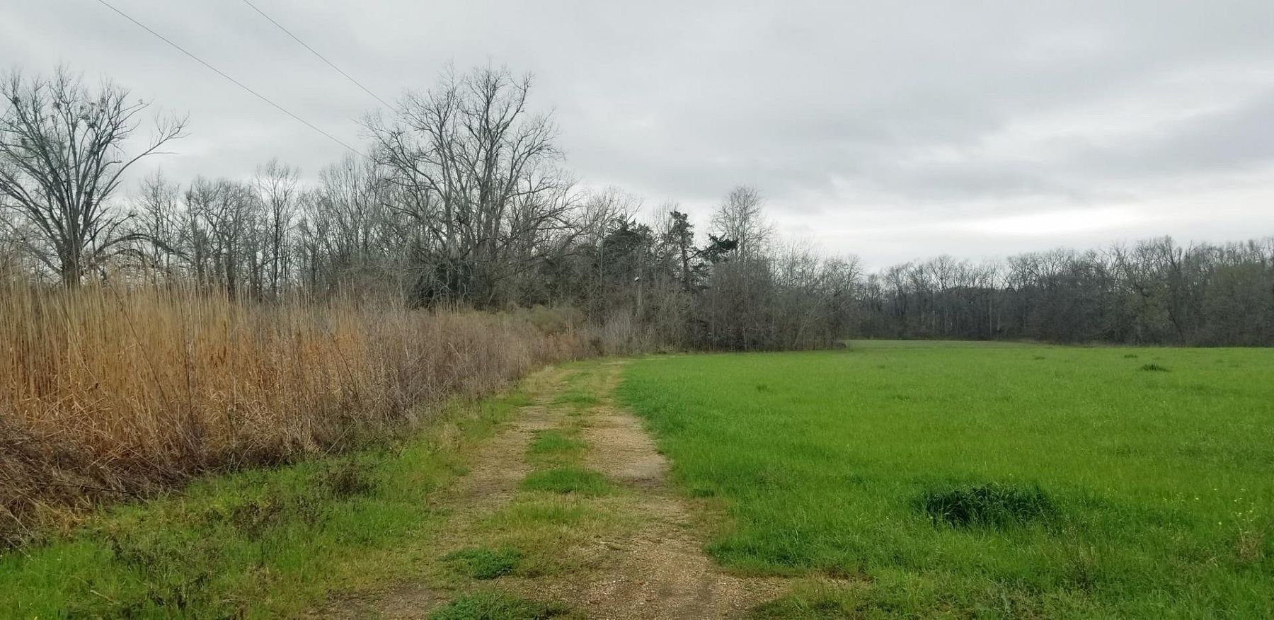 23 Acres of Recreational Land & Farm Ferriday, Louisiana, 