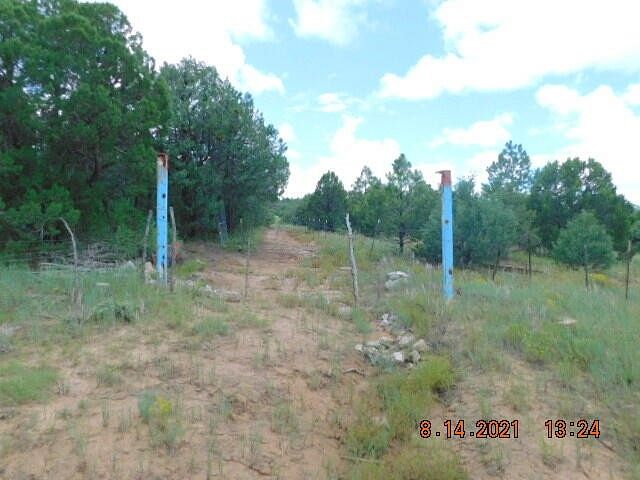 31.4 Acres of Land Tijeras, New Mexico, NM