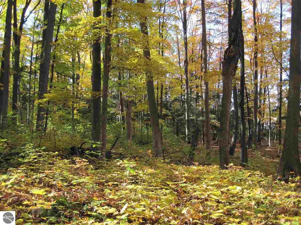 0.47 Acres of Residential Land Reed City, Michigan, MI