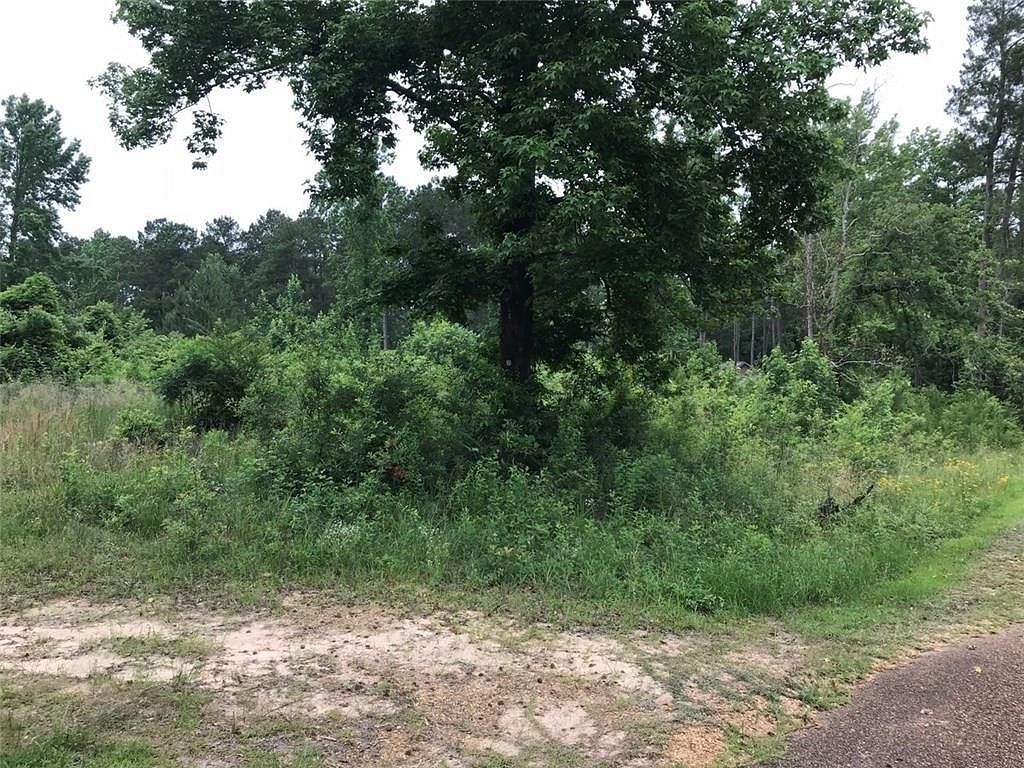 0.8 Acres of Residential Land Dry Prong, Louisiana, LA
