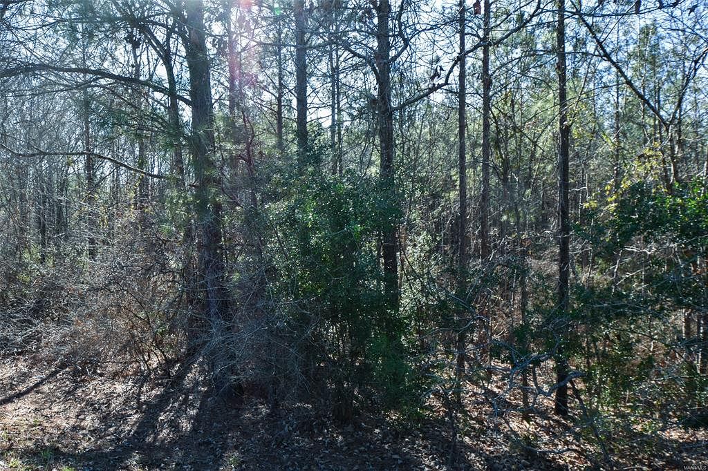 17.9 Acres of Land Prattville, Alabama, AL