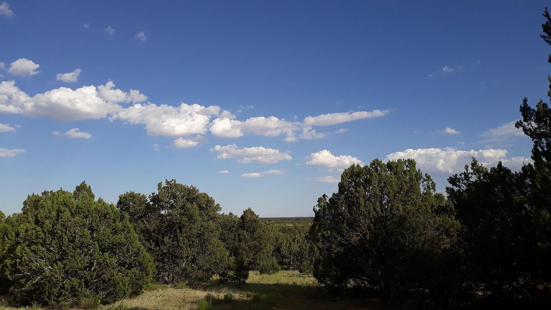 34 Acres of Land Tijeras, New Mexico, NM