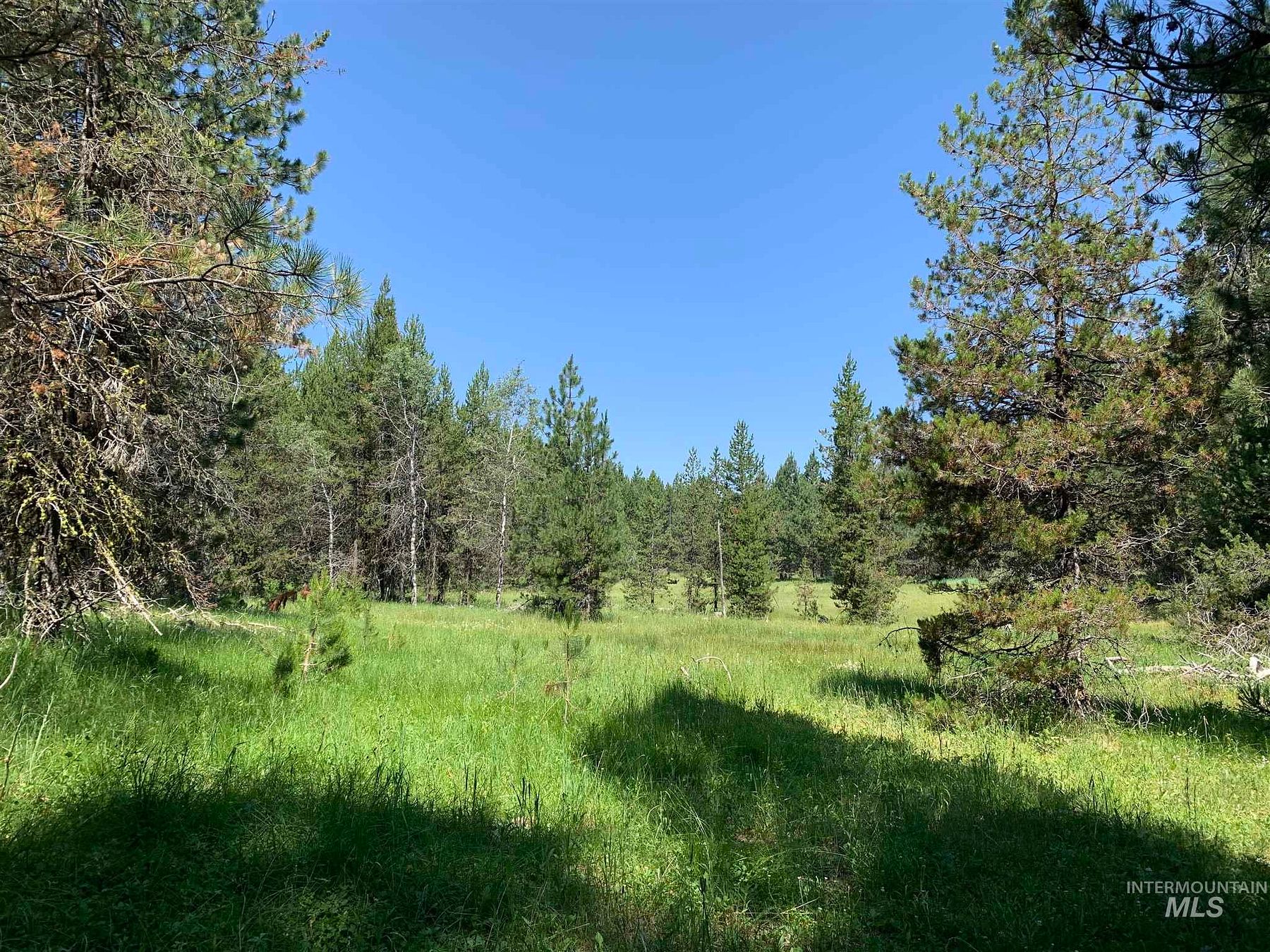 2.2 Acres of Land Cascade, Idaho, ID