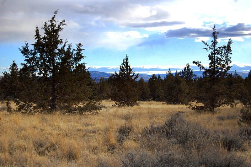 5 Acres of Residential Land Prineville, Oregon, OR
