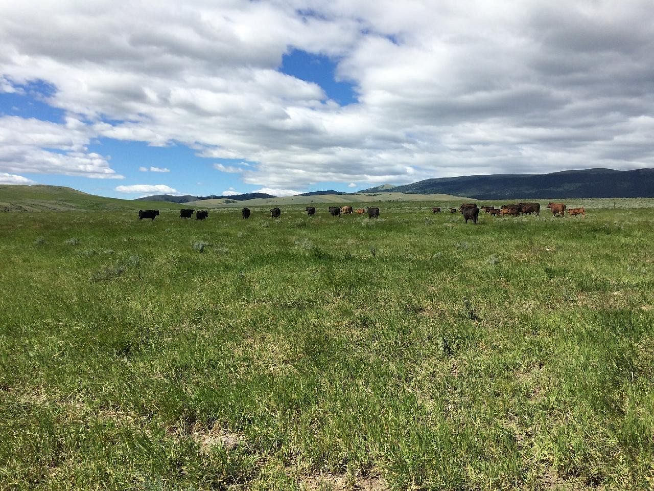 60.8 Acres of Agricultural Land White Sulphur Springs, Montana, MT