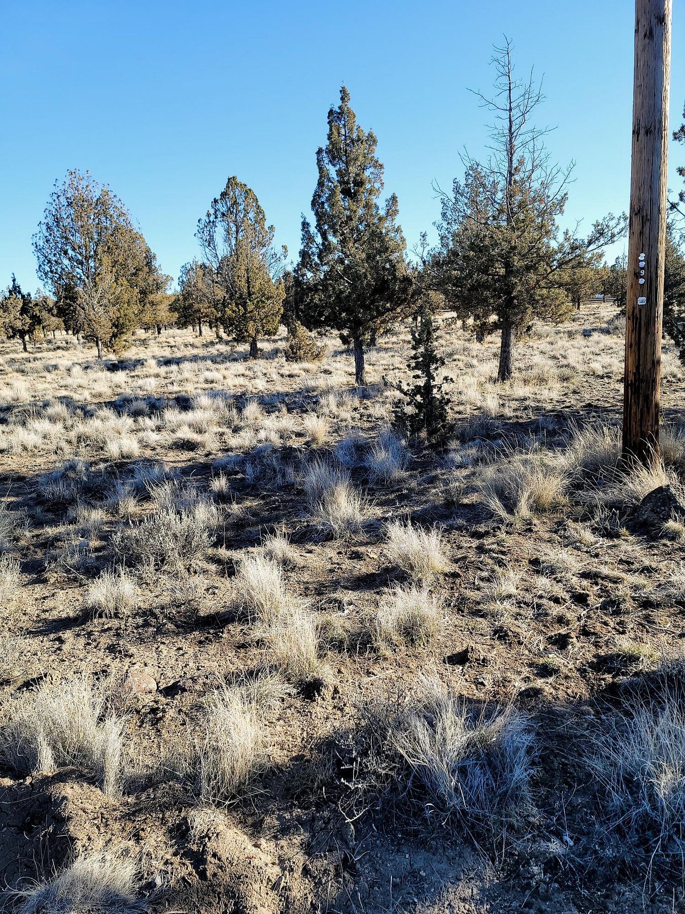 2.1 Acres of Residential Land Prineville, Oregon, OR