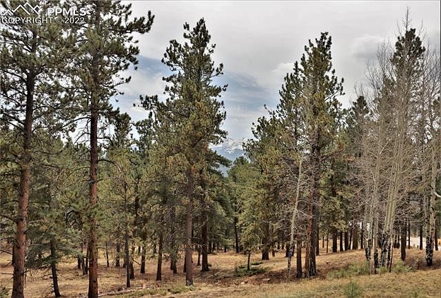 0.86 Acres of Residential Land Woodland Park, Colorado, CO