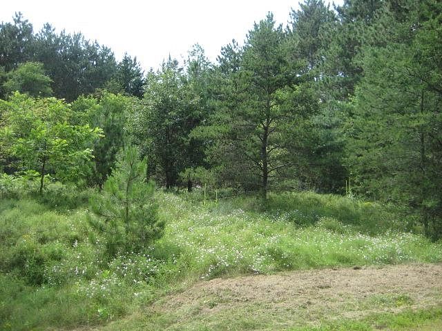 0.54 Acres of Residential Land Kronenwetter, Wisconsin, WI