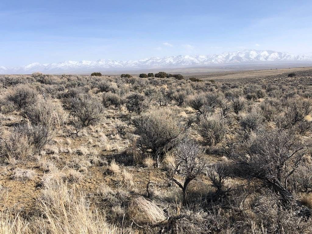 2.3 Acres of Land Elko, Nevada, NV