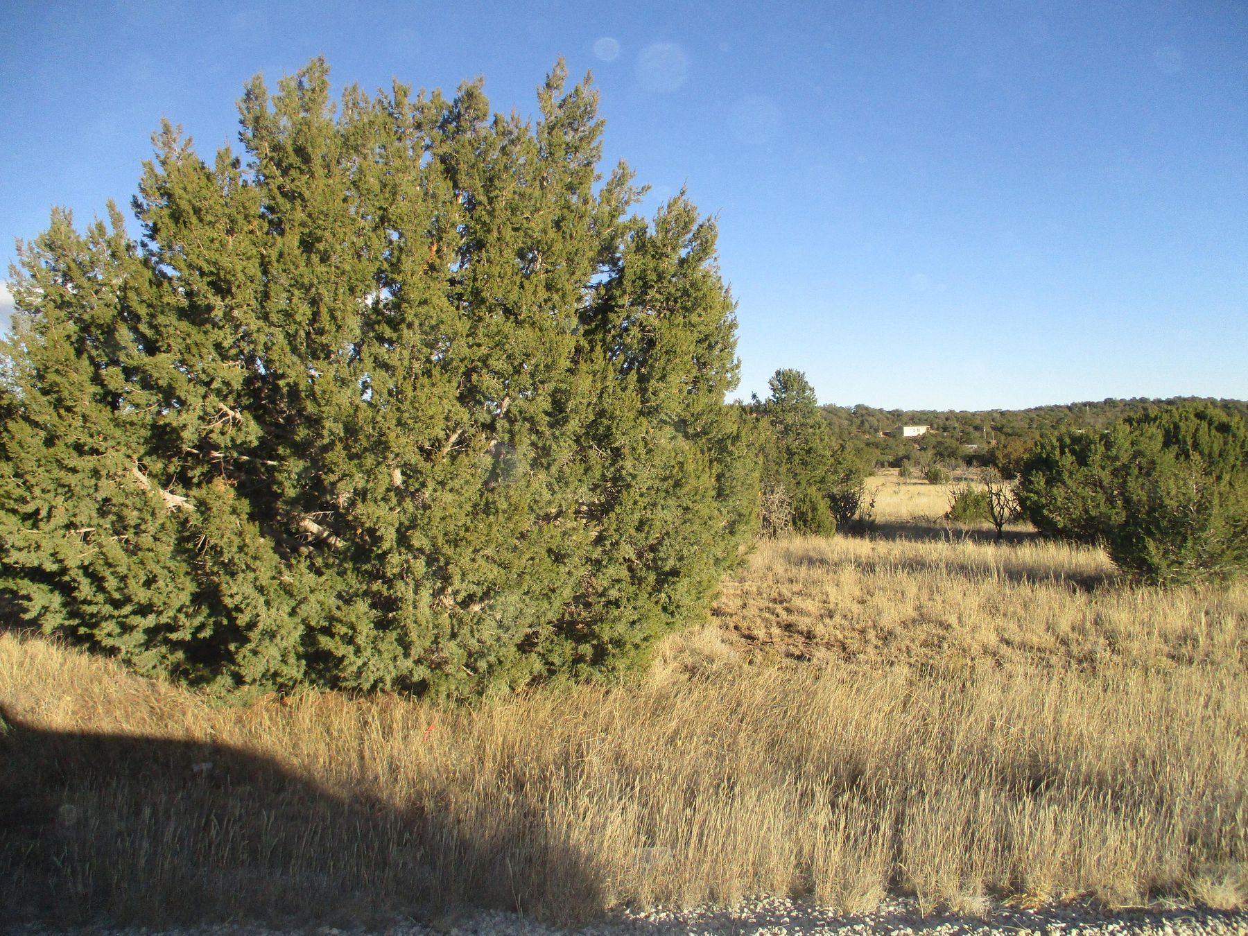 2.3 Acres of Land Edgewood, New Mexico, NM