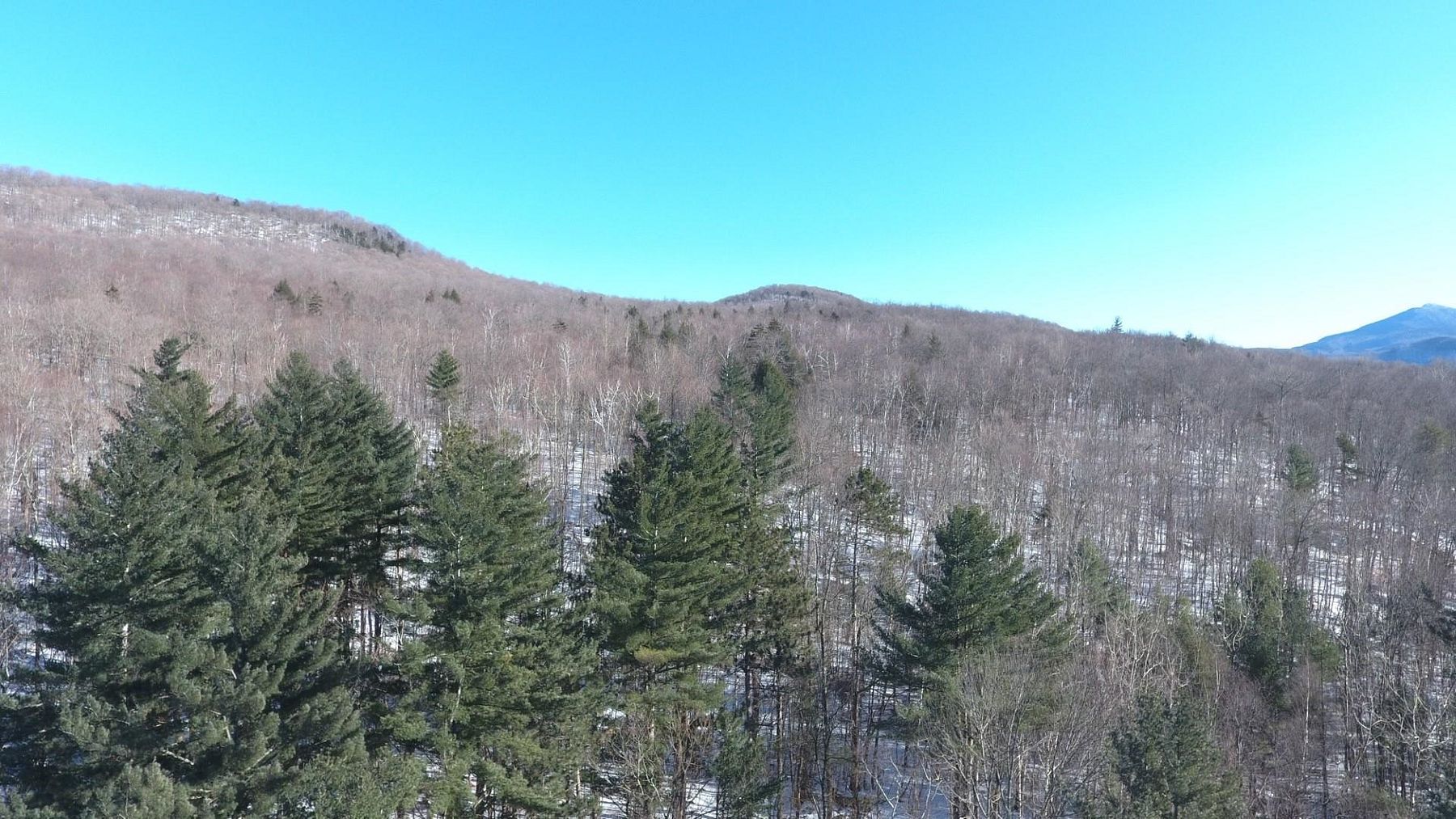 103 Acres of Land Bolton, Vermont, VT
