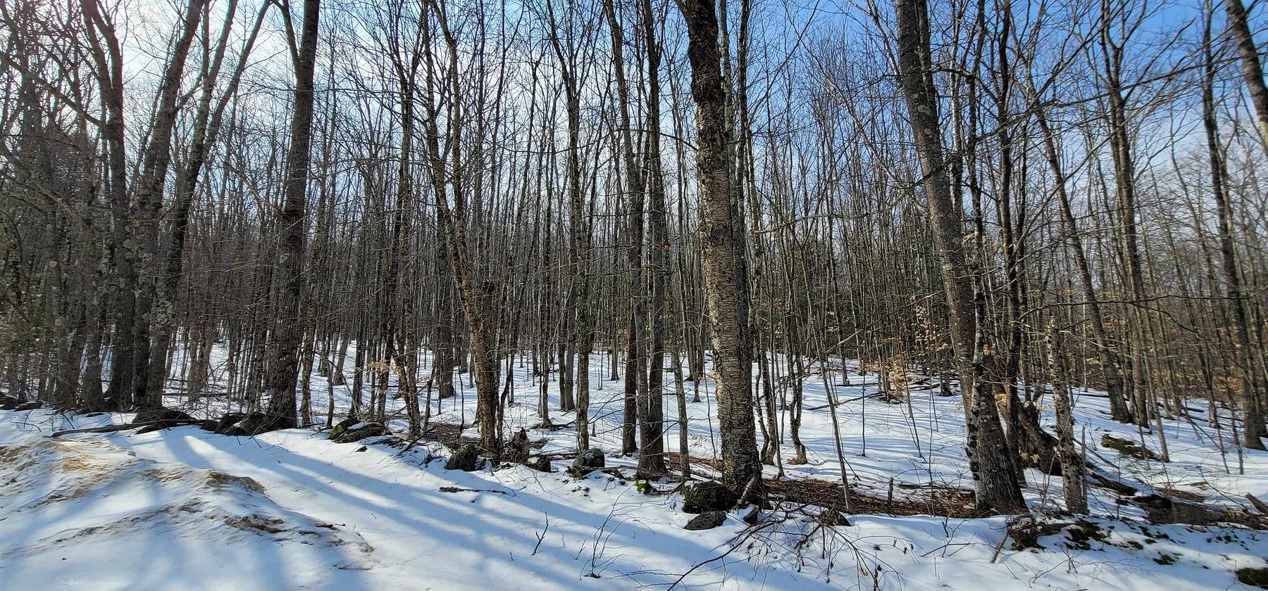 2.5 Acres of Residential Land Gilmanton, New Hampshire, NH