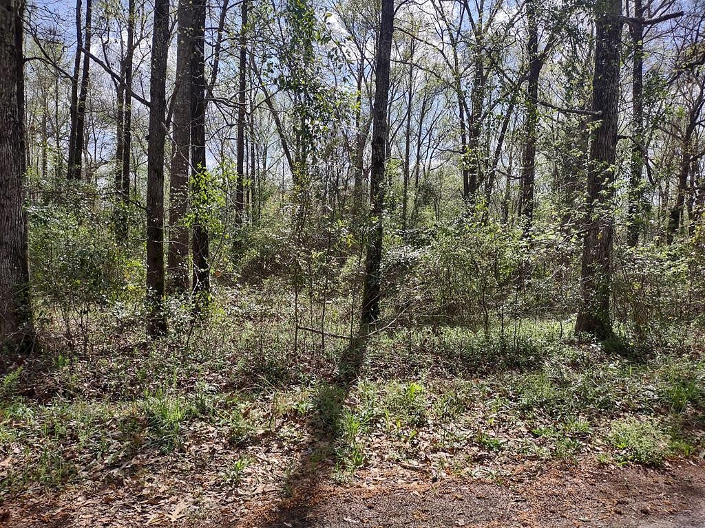 0.26 Acres of Residential Land Ivey, Georgia, GA