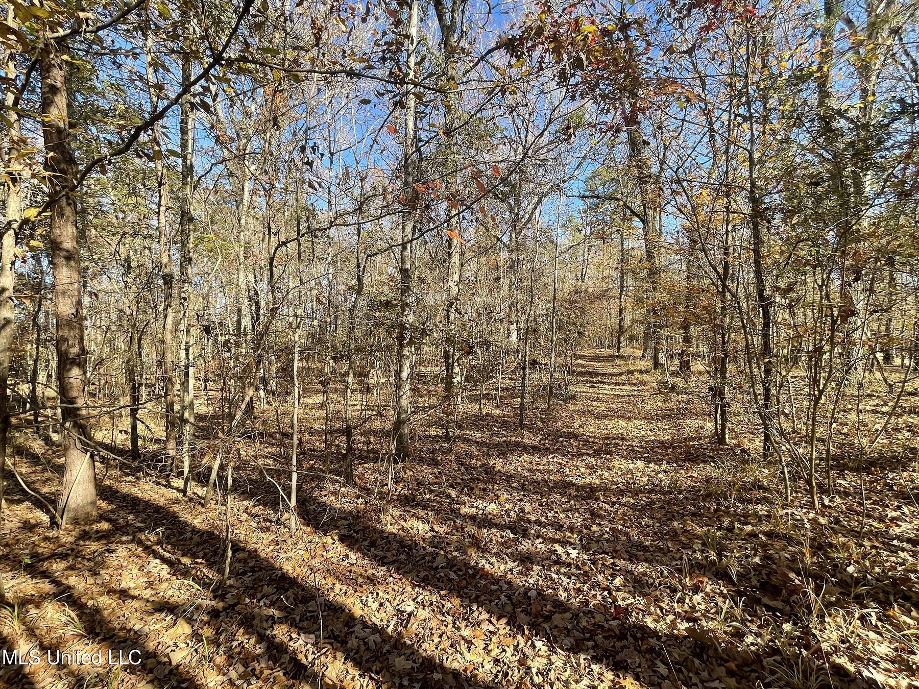4.3 Acres of Land Brandon, Mississippi, MS