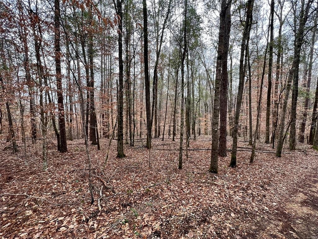 22.9 Acres of Land Deatsville, Alabama, AL