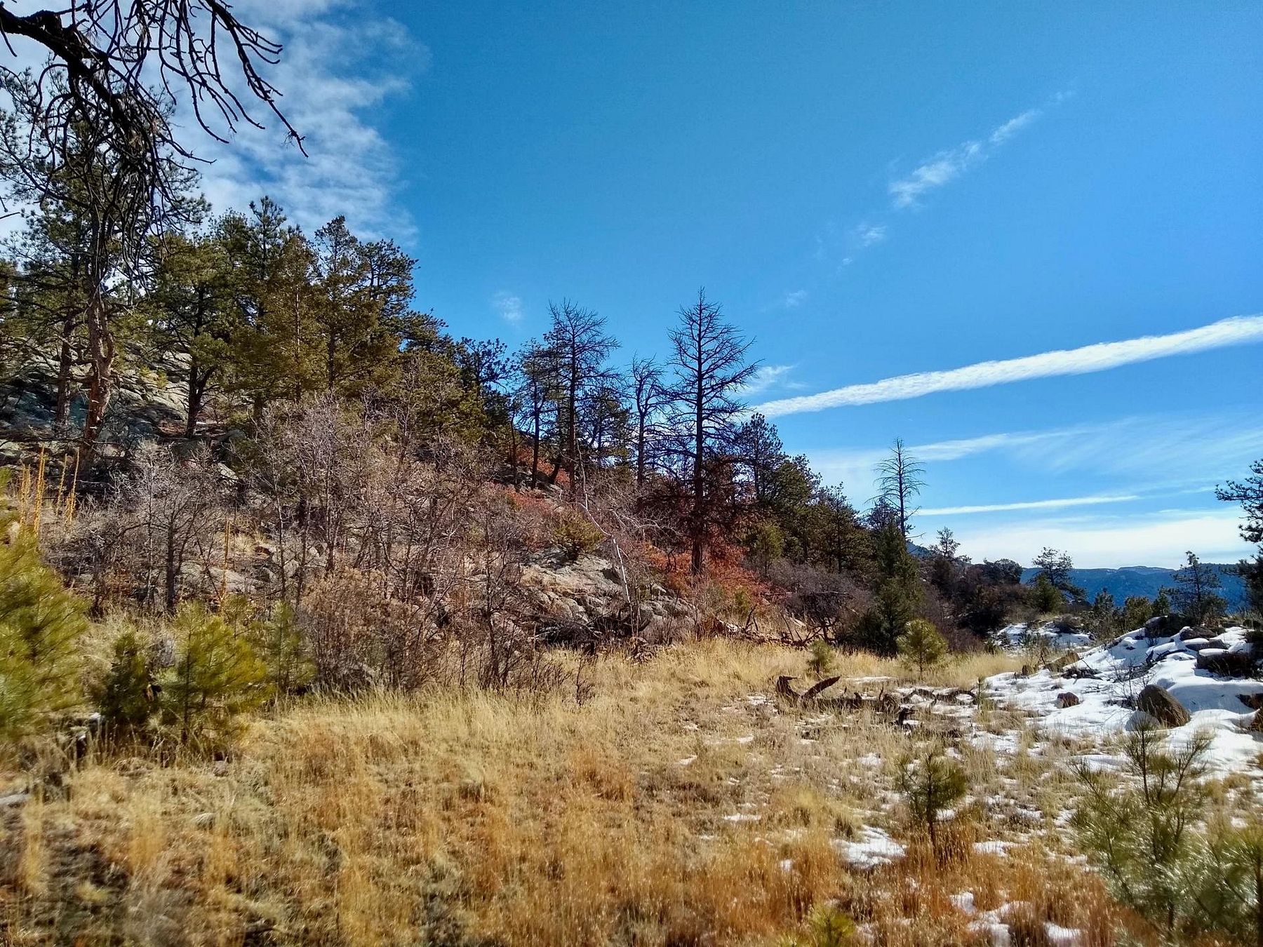 4.3 Acres of Mixed-Use Land Florissant, Colorado, CO