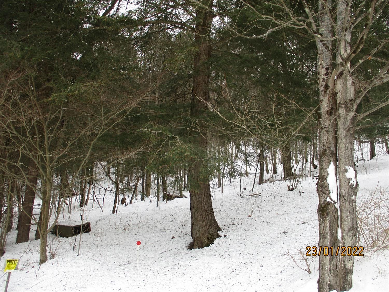 20 Acres of Recreational Land North Norwich, New York, NY