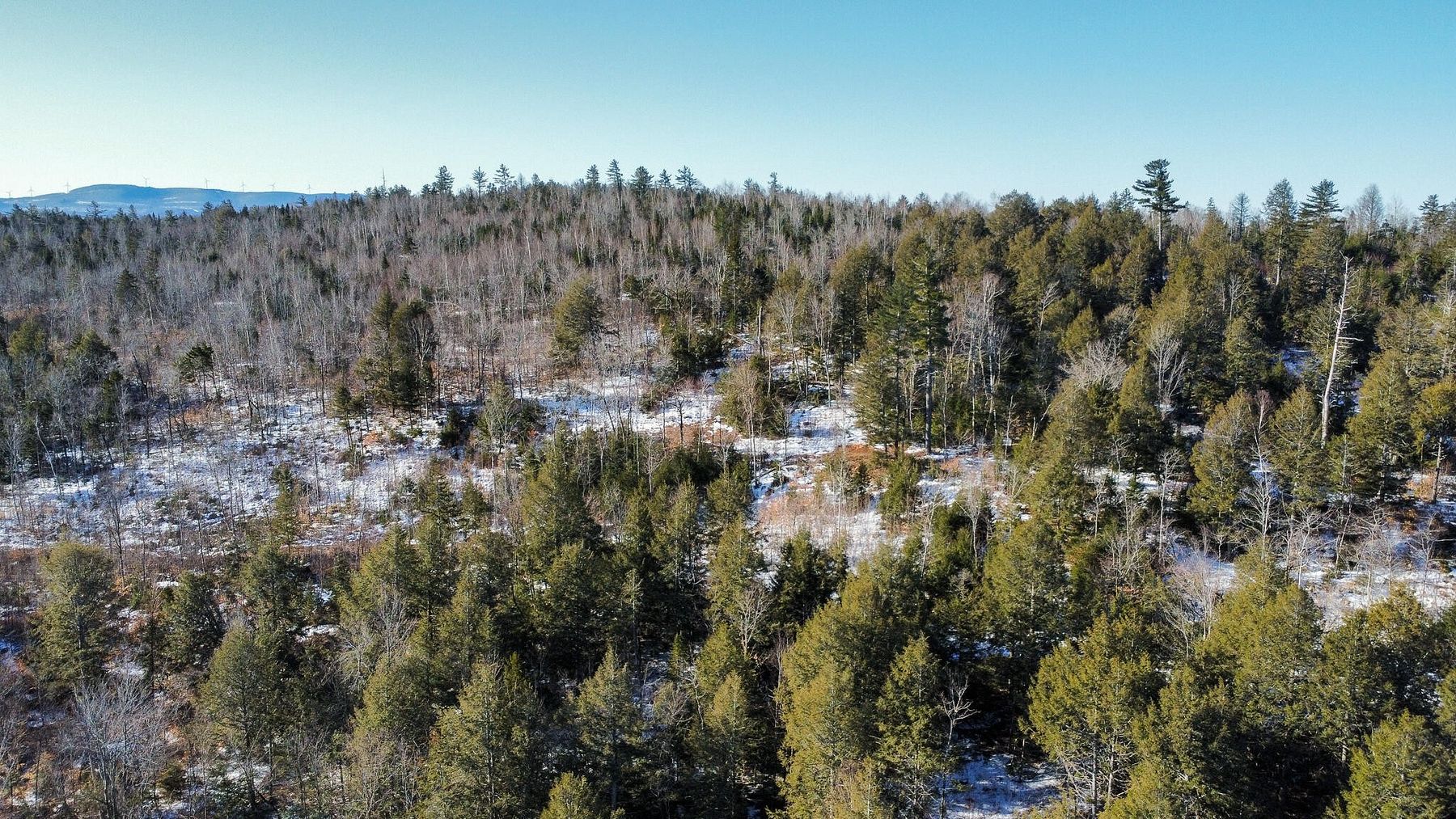 173 Acres of Mixed-Use Land Burlington, Maine, ME