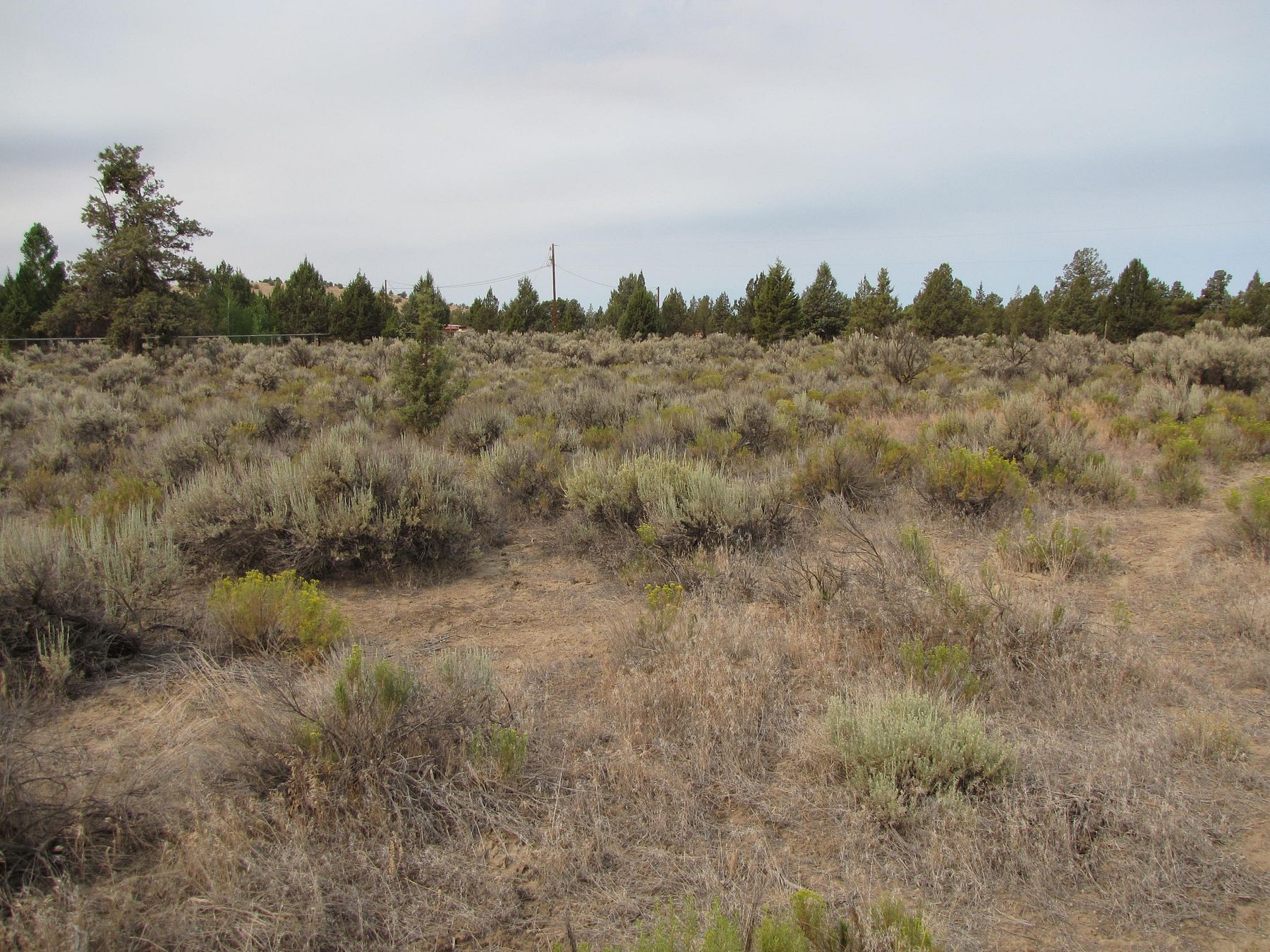 1.7 Acres of Residential Land Prineville, Oregon, OR