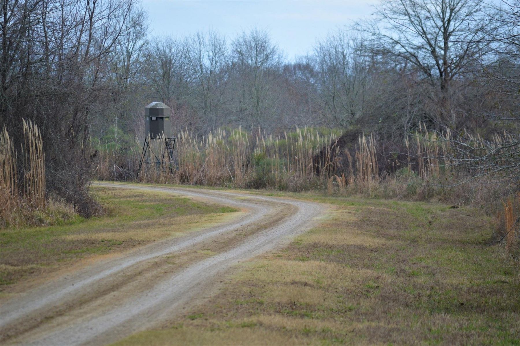 1,083 Acres of Recreational Land Ferriday, Louisiana, 