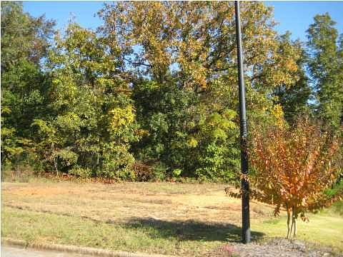 0.52 Acres of Residential Land Millbrook, Alabama, AL