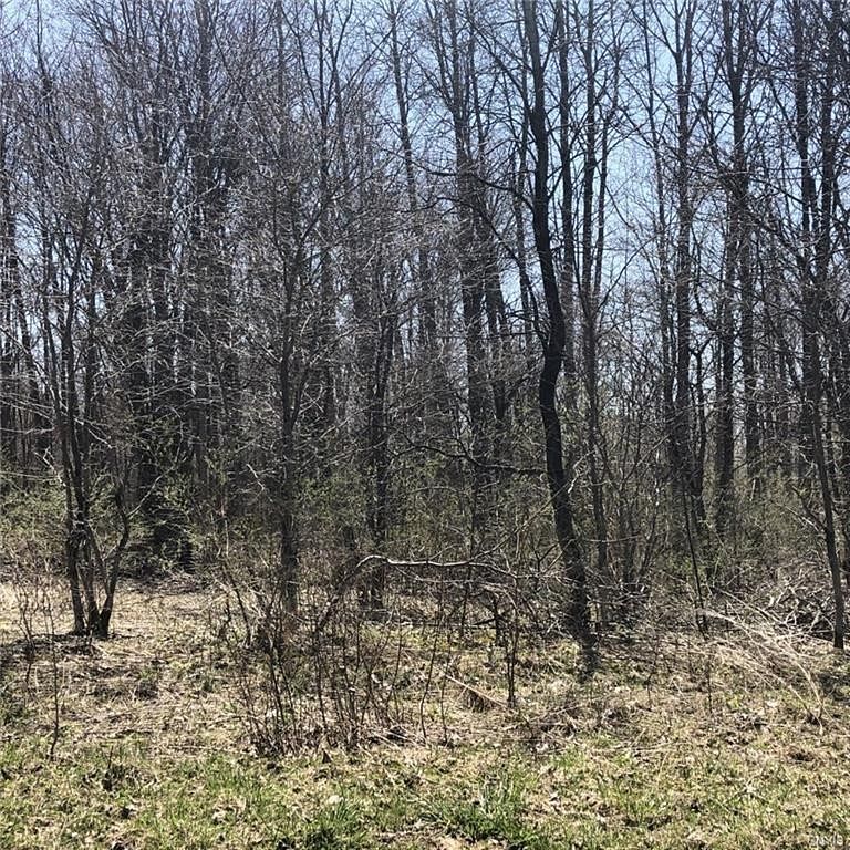 3.9 Acres of Residential Land & Home Deerfield, New York, NY